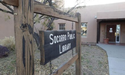 City, village libraries seek alternate ways to serve patrons