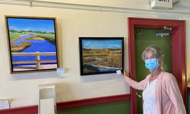 Local artist Donna Warby displays work at M Mountain Coffee