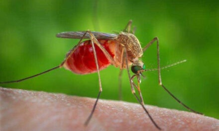 West Nile Virus reported in county