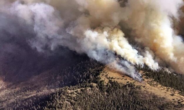 Bear Trap Fire; Cibola bans campfires