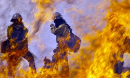 Poor pay and benefits deplete U.S. firefighting workforce