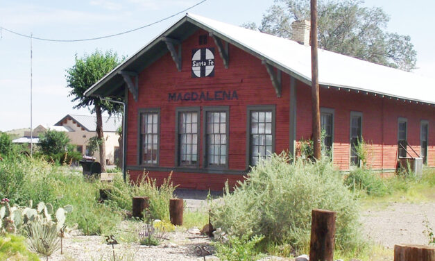 2021 Election: Village of Magdalena