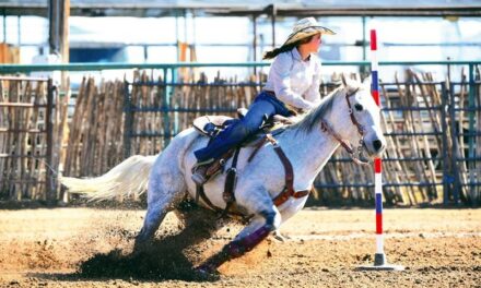Local riders look to make an impact at the Rodeo