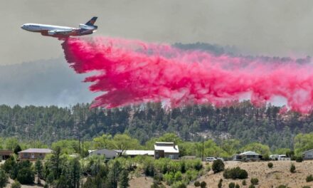 Gov. seeking federal disaster declaration for wildfires