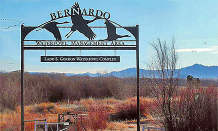  Improvements coming to Bernardo wetlands