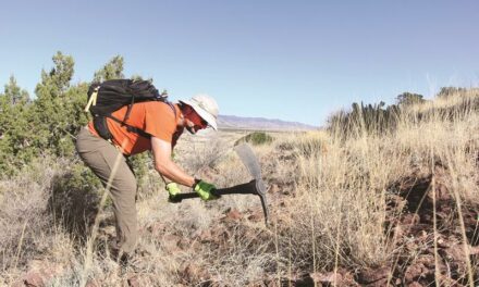 Volunteers expand trail network at The Box
