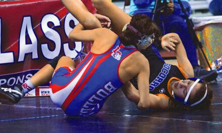 Girls wrestlers tie for seventh in state