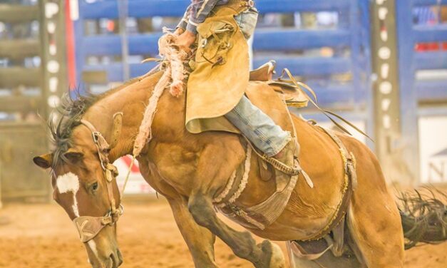 Socorro County Fair PRCA rodeo results