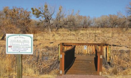 Socorro nature area gets a facelift, remains open under construction