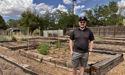 Campus garden yields community bounty 