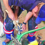 Family, faith and professionalism give Walraven his tools to shoe horses