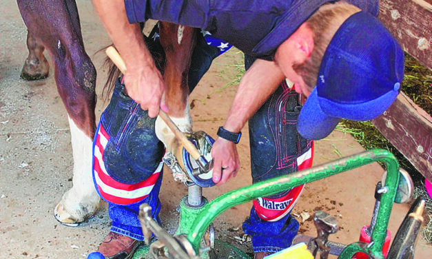 Family, faith and professionalism give Walraven his tools to shoe horses