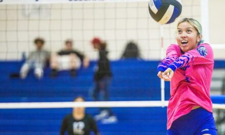 Steers volleyball escape with narrow win against the Warriors
