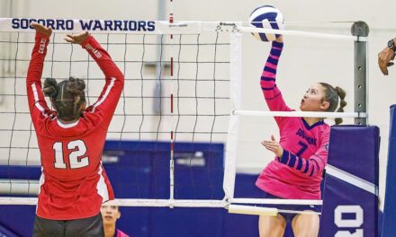 Volleyball team works to put skills together consistently