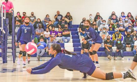 Alamo volleyball girls stretch winning streak to 8 matches