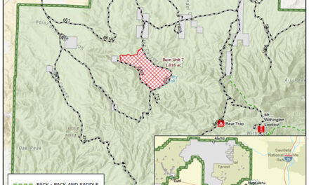 Prescribed fire planned in Magdalena Ranger District