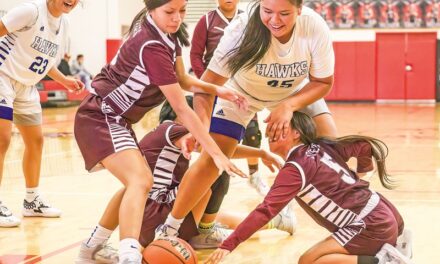 Magdalena girls battle to second-place finish in Grants