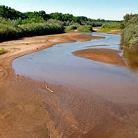 Advocacy group pushes for 50-year water planning