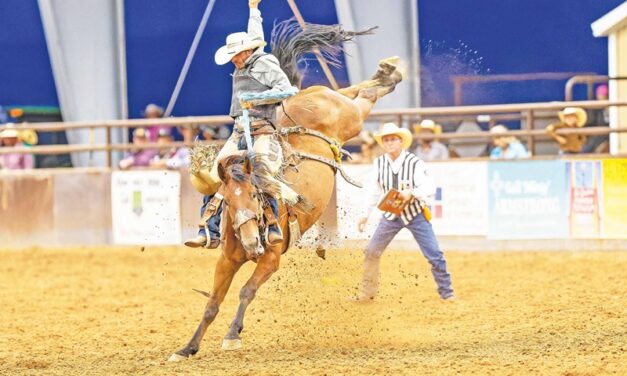 PRCA rodeo highlights Socorro County Fair