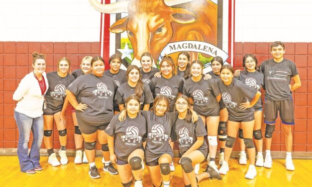 All three county volleyball teams have new coaches