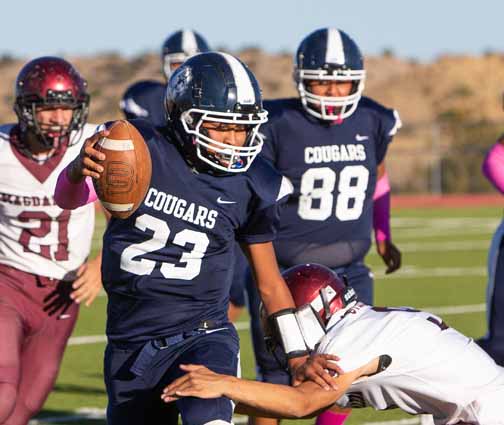 PHOTO GALLERY: Steers top Cougars in TD filled game