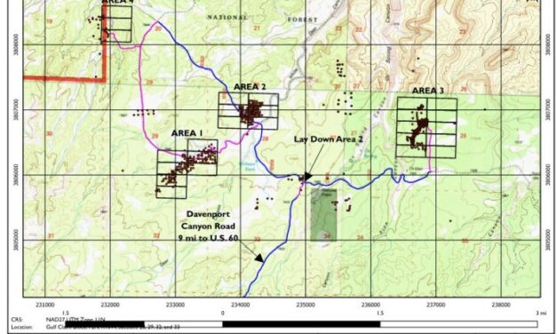 Canadian mine company submits uranium project plan near Datil