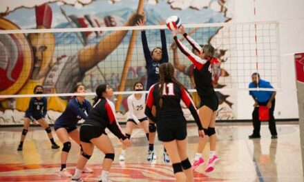 Photo Gallery: Alamo Navajo in the state volleyball tournament