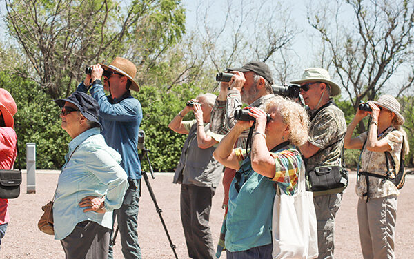 Bird watching enthusiasts flock to spring bird migration at Bosque del Apache