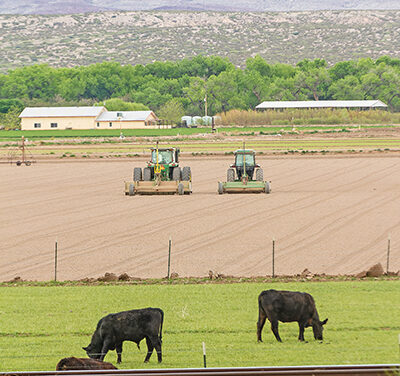 New Mexico Agricultural Production Grows